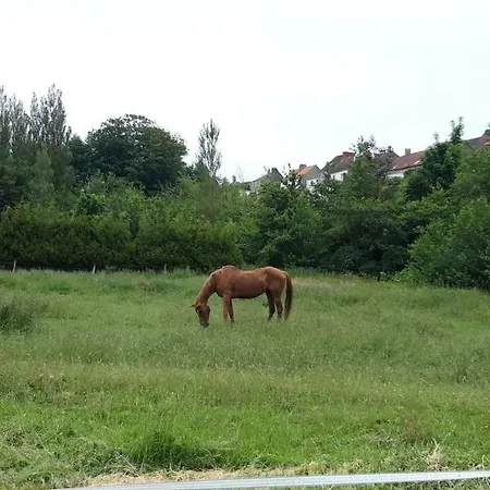 Le Petite Maison Du Crembreux 別荘 マルキーズ