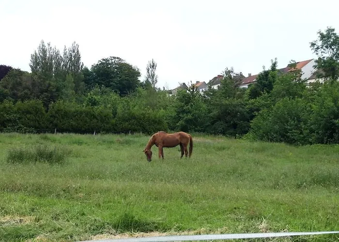 Le Petite Maison Du Crembreux Hébergement de vacances Marquise